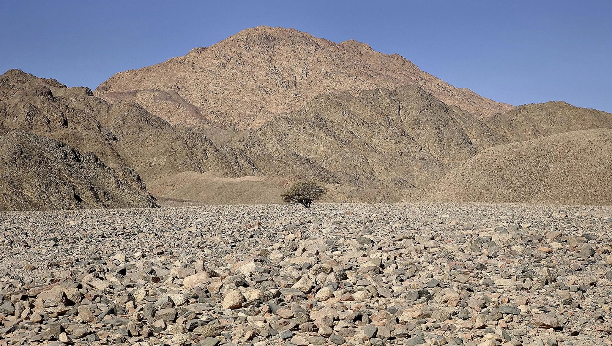 End of the World Cinema by Kaupo Kikkas. 