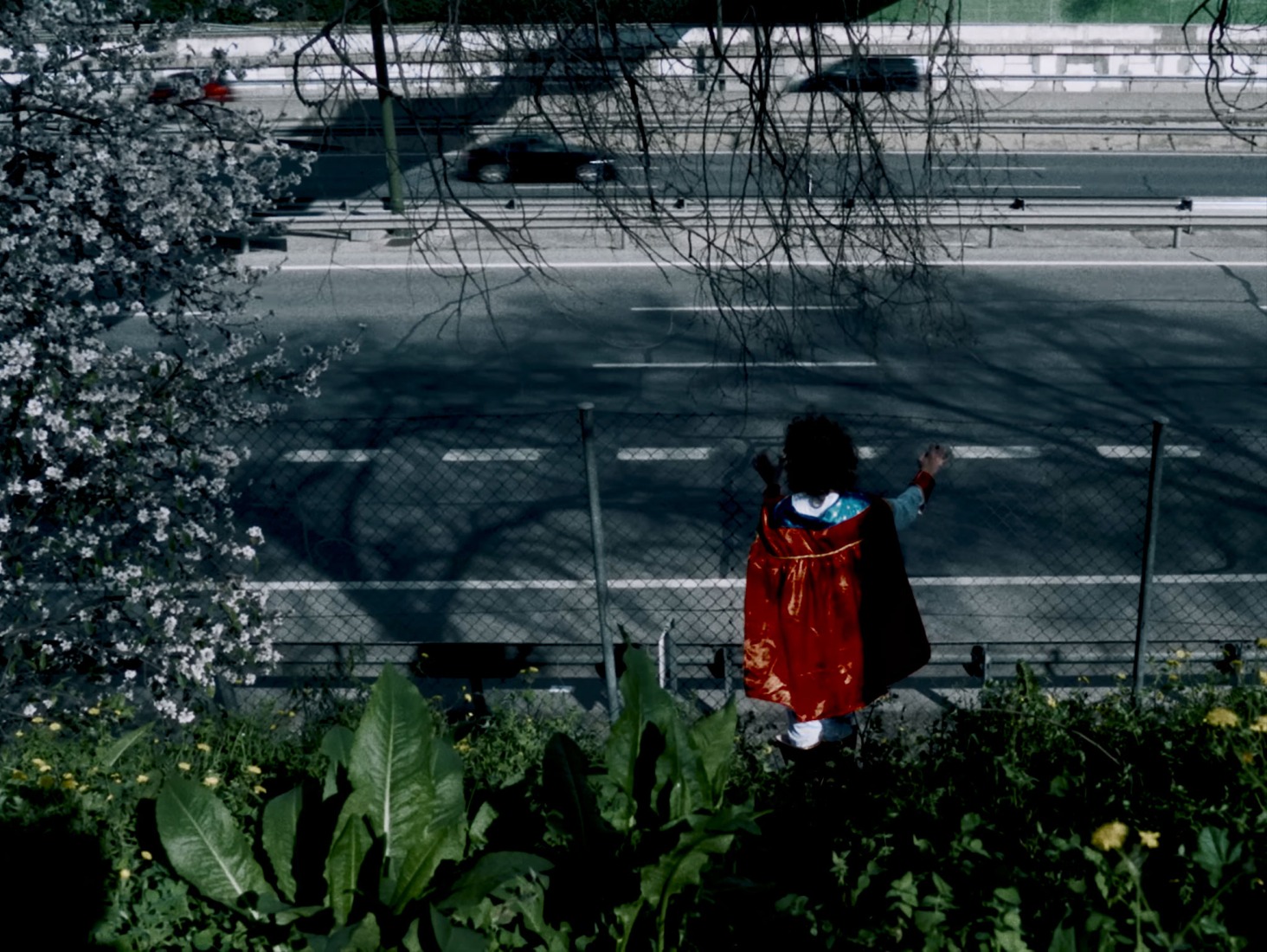 "La Vida Cañón" by Alcalá Norte.