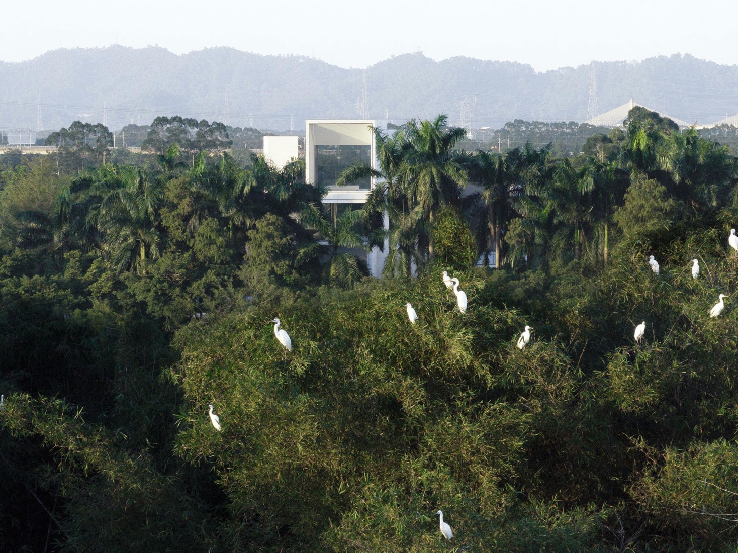 Museo del Humedal de Yunlu en Shunde por Studio Link-Arc. Fotografía por Arch-Exist. 