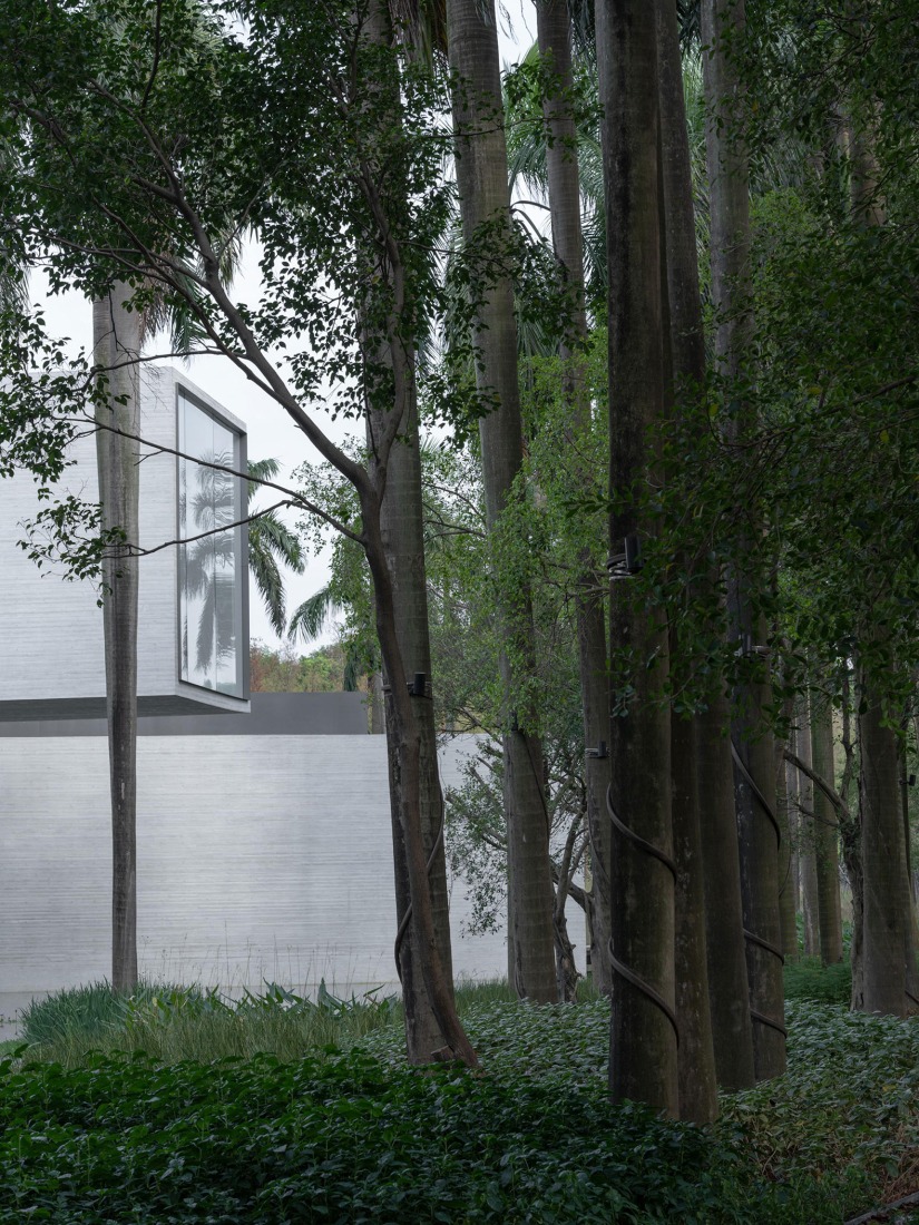 Museo del Humedal de Yunlu en Shunde por Studio Link-Arc. Fotografía por Tian Fangfang. 