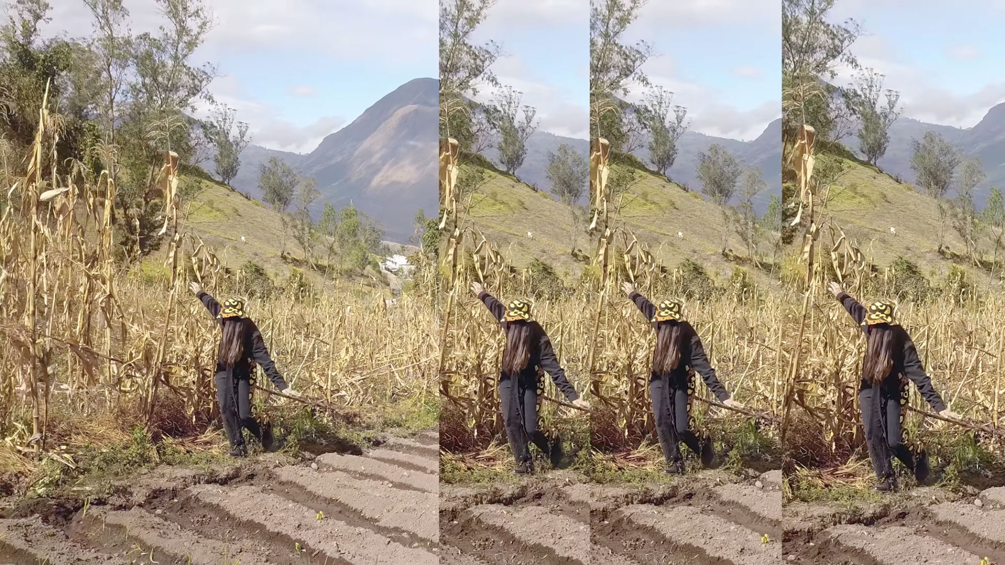 Capulí por Luz Pinos.