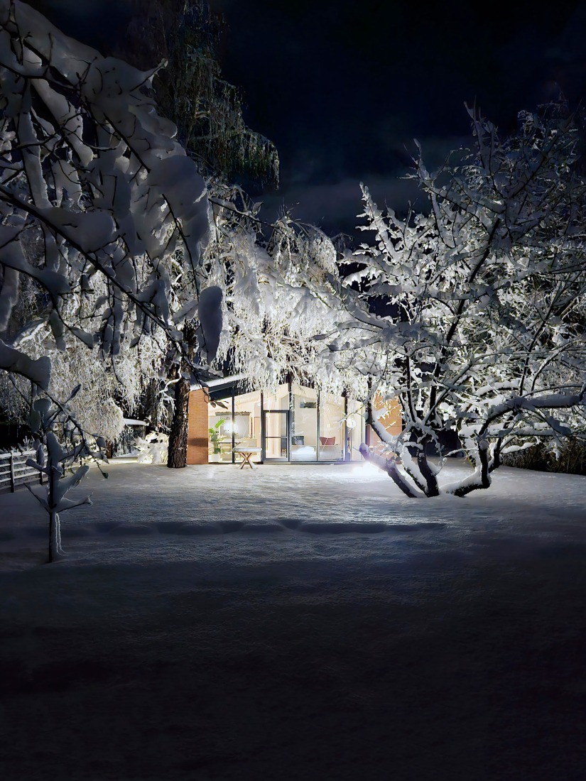 House under the poplars by OFIS arhitekti. Photograph by Tomaž Gregorič. 