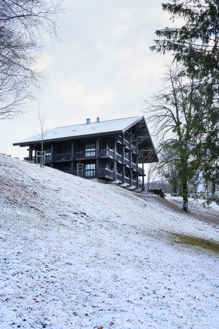 Vila Muhr by OFIS arhitekti. Photograph by Miran Kambič.
