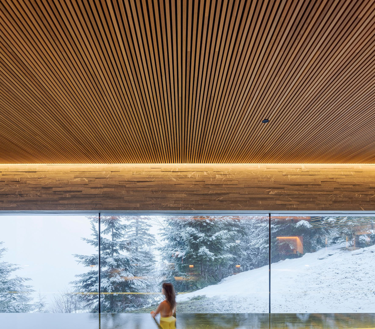 Casa Flag por studio mk27. Fotografía por Fernando Guerra | FG+SG.