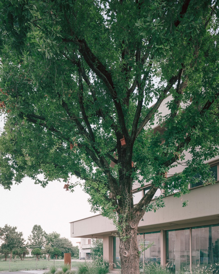 Renovación industrial para Dante Negro. Fotografía por Aldo Amoretti.