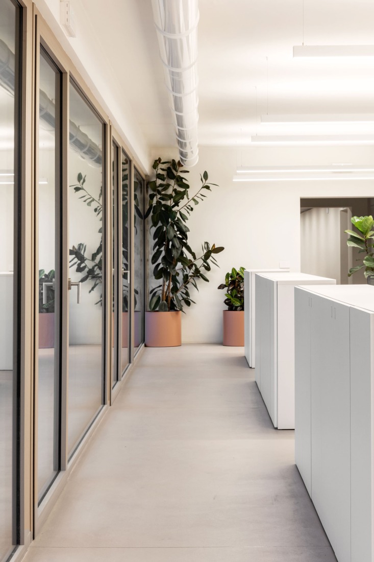 Renovación industrial para Dante Negro. Fotografía por Giovanni Nardi.