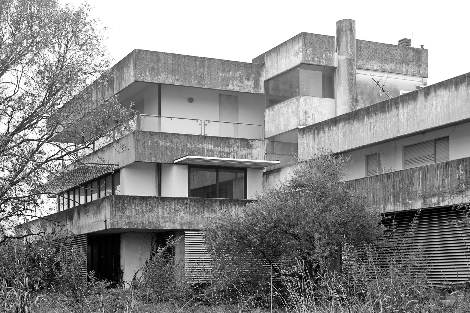 Estado previo. Renovación industrial para Dante Negro.