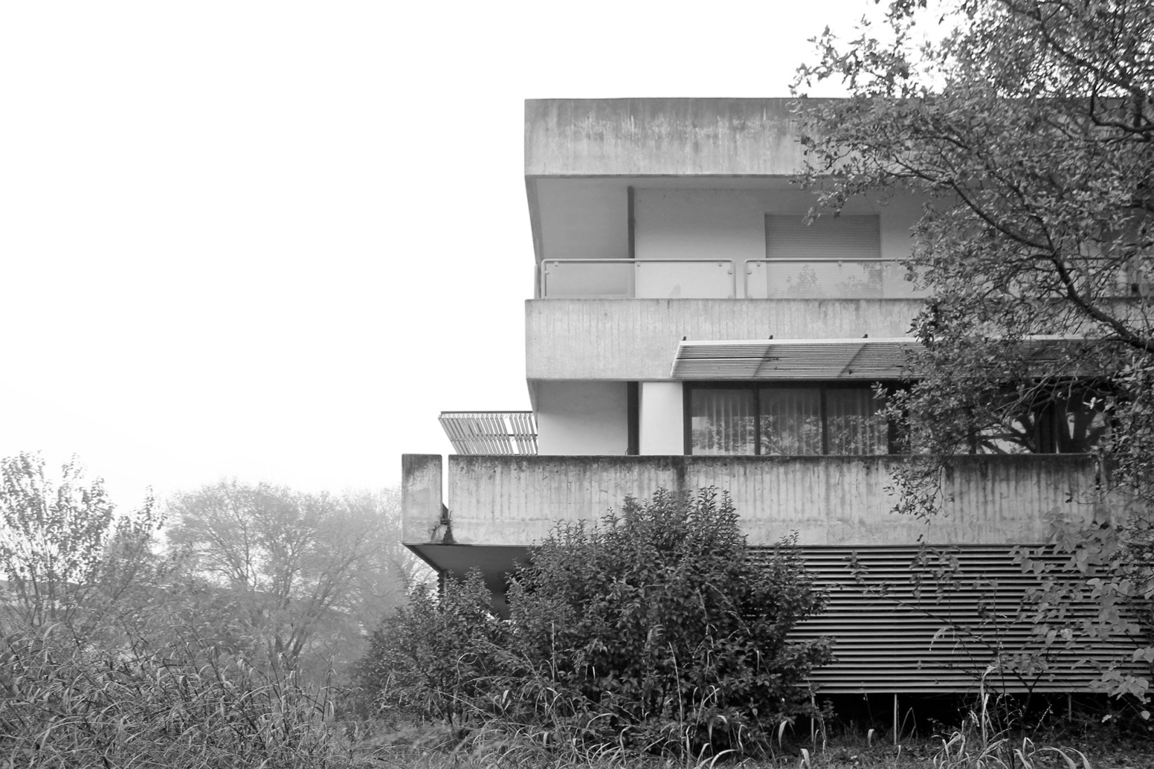 Estado previo. Renovación industrial para Dante Negro.