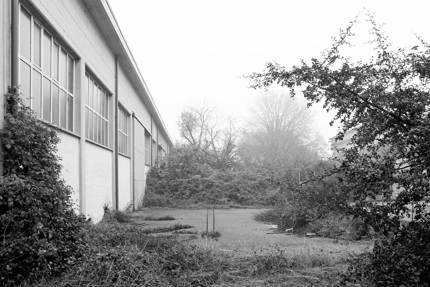 Estado previo. Renovación industrial para Dante Negro.