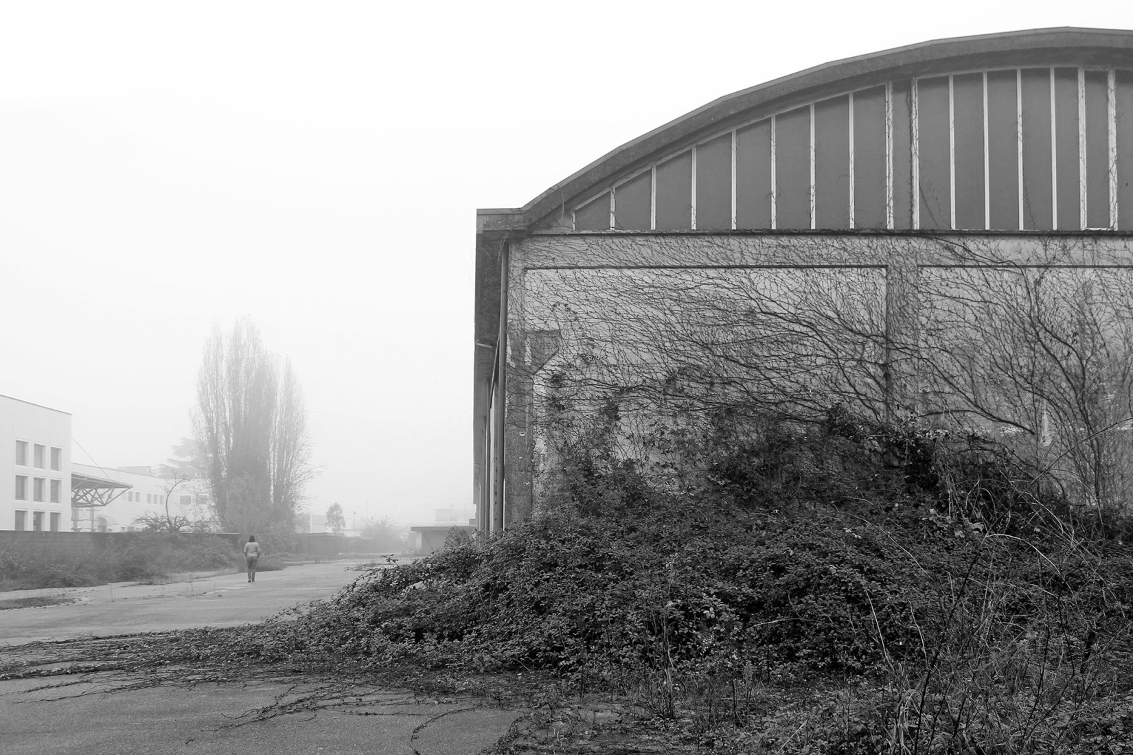 Estado previo. Renovación industrial para Dante Negro.