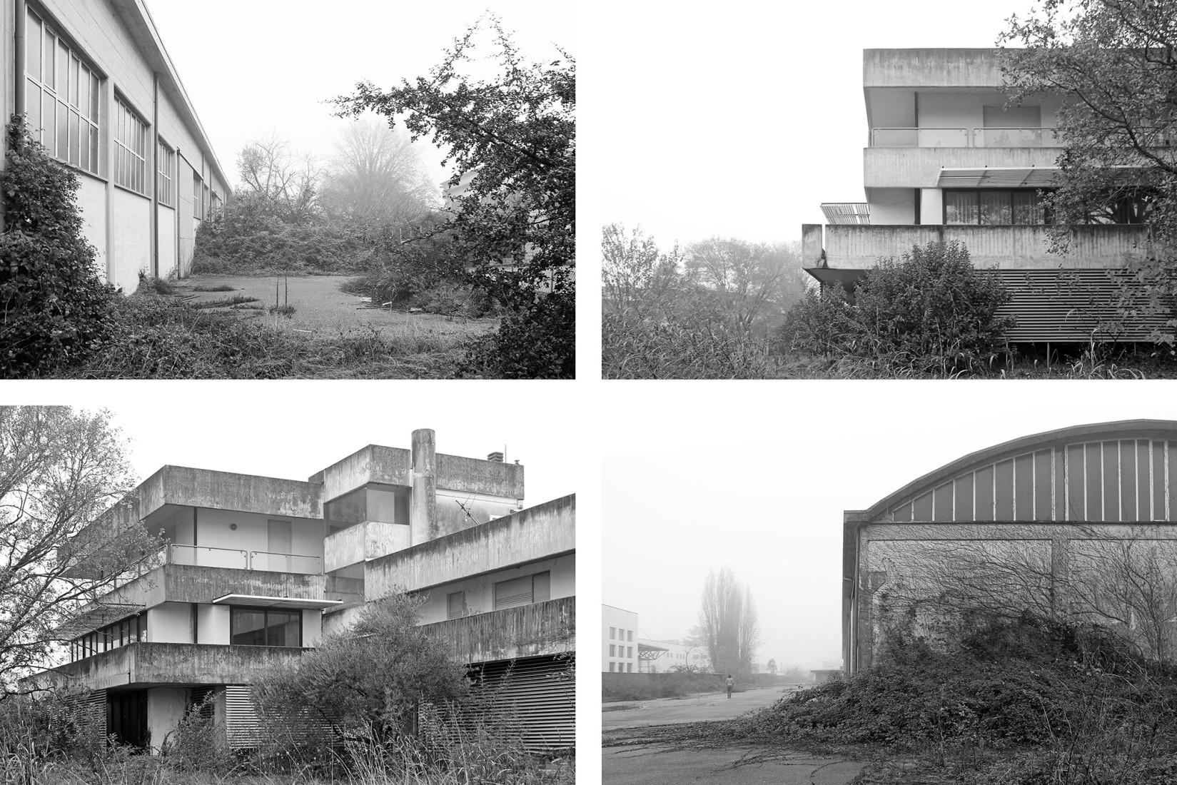 Estado previo. Renovación industrial para Dante Negro.