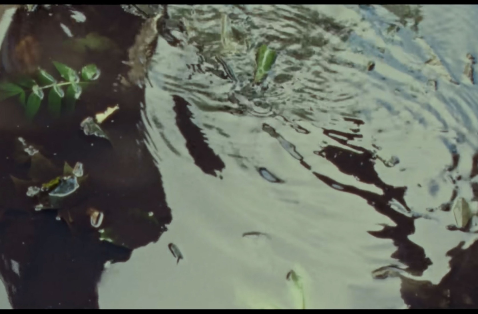 «Da Du Dah» por Kokoroko.