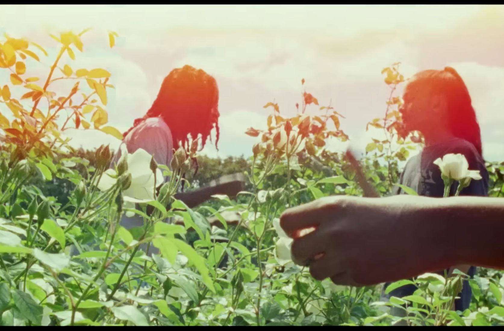 «Da Du Dah» por Kokoroko.