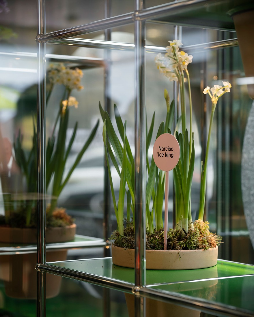 "Flora Alpina" by BUREAU. Photograph by Dylan Perrenoud.