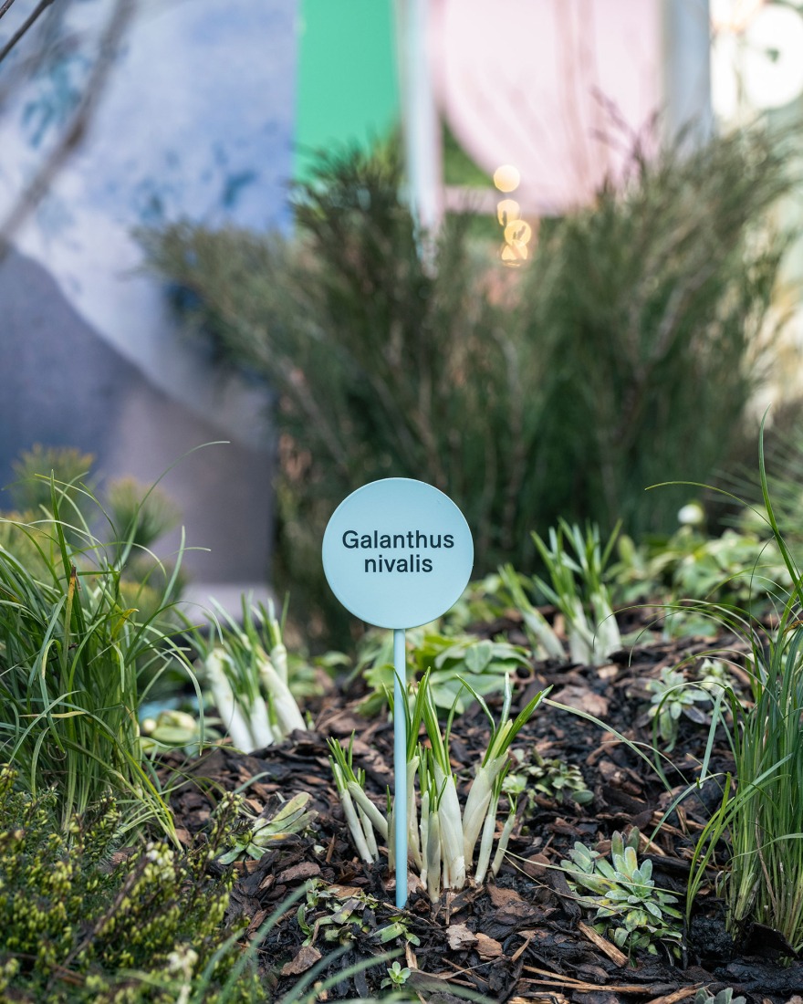 "Flora Alpina" by BUREAU. Photograph by Dylan Perrenoud.