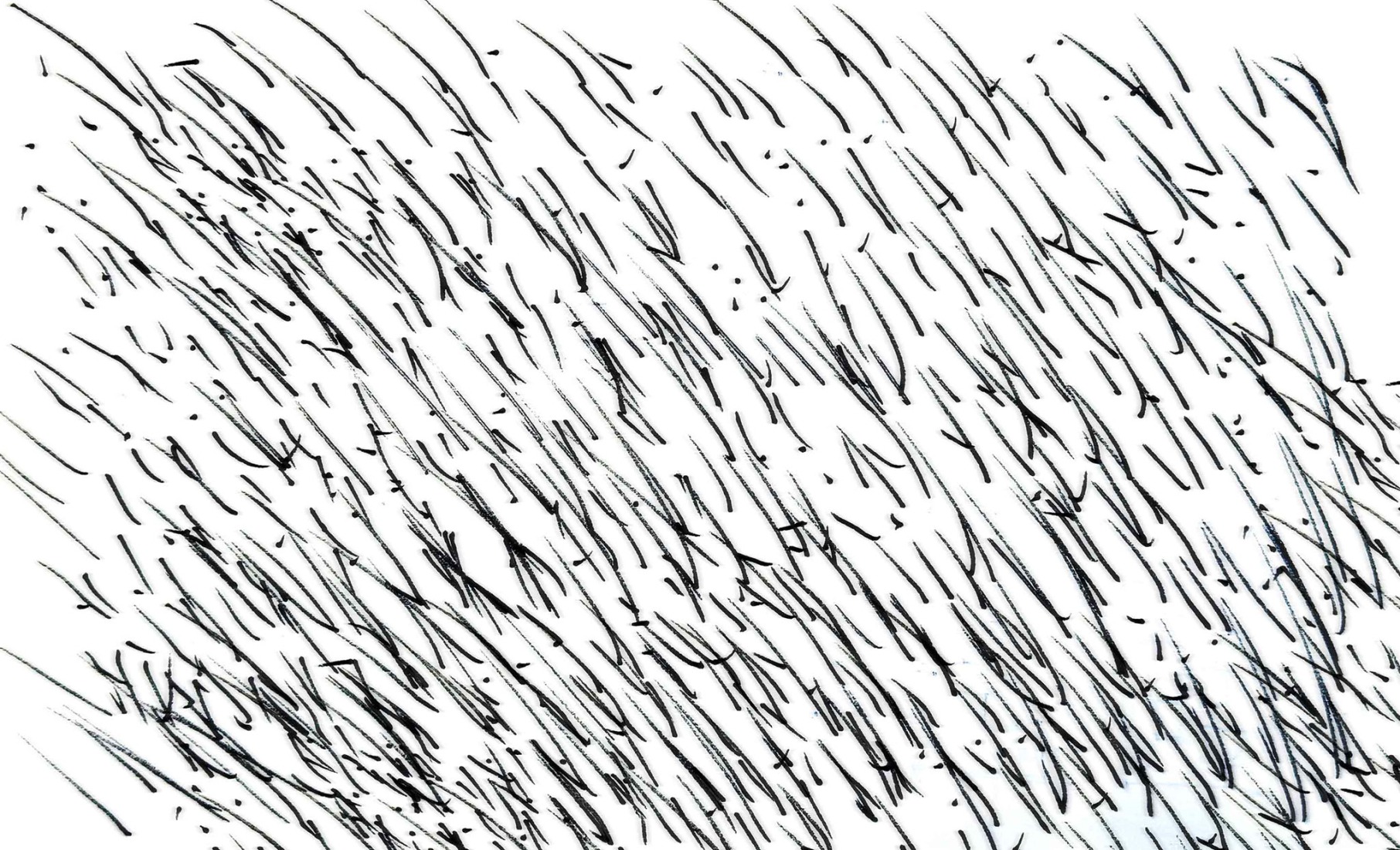 Primer boceto. «High Line Bangkok» por HAS design and research.