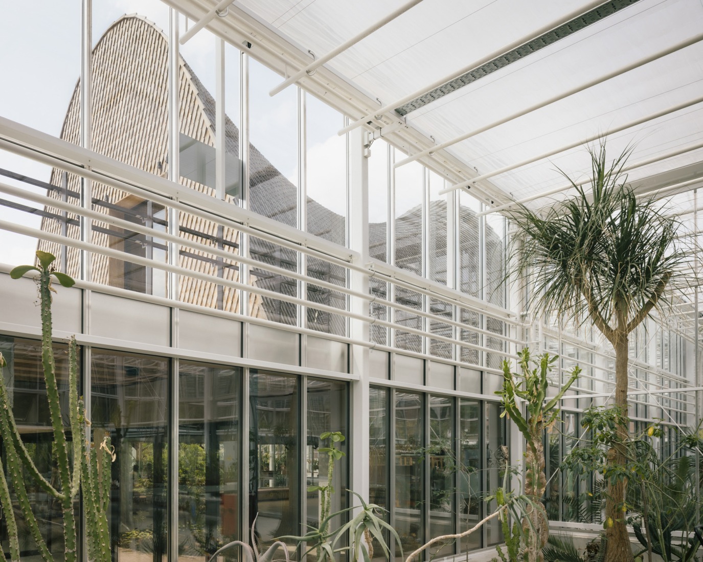 "Green Ark" by NU architectuuratelier + archipelago architects. Photograph by Stijn Bollaert.