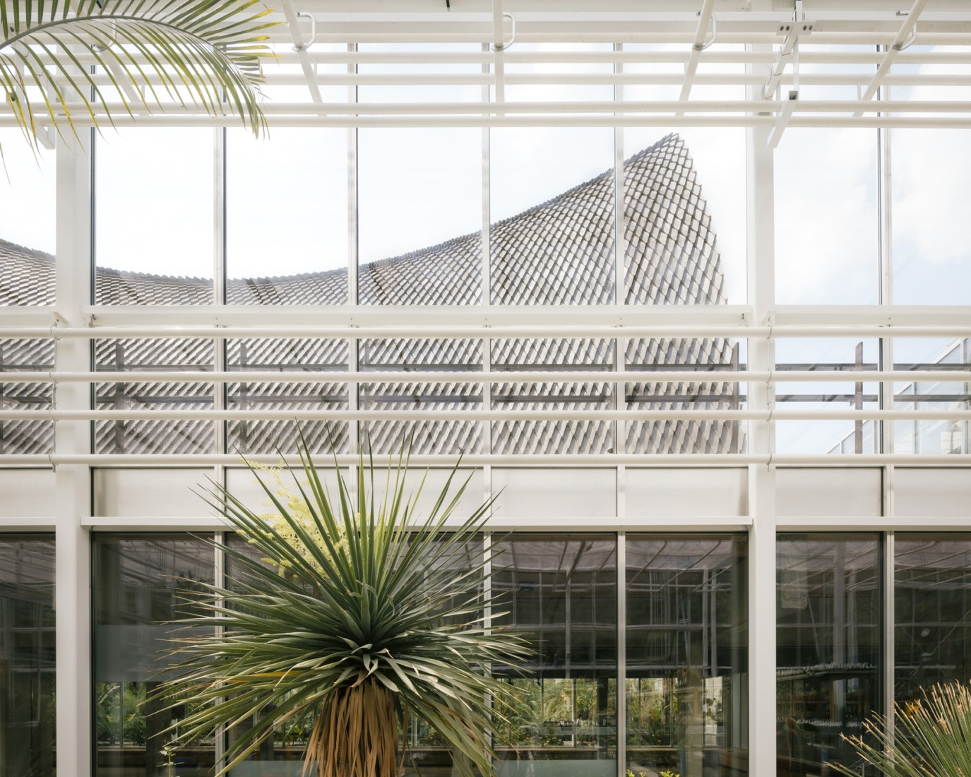 "Green Ark" by NU architectuuratelier + archipelago architects. Photograph by Stijn Bollaert.