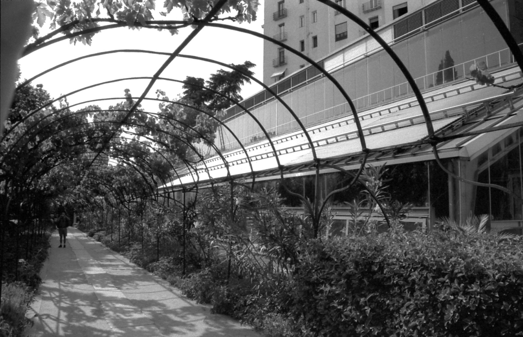 Invernadero del Real Jardín Botánico de Madrid (1991-1992) por Ángel Fernandez Alba. Fotografía por Reto Halme.