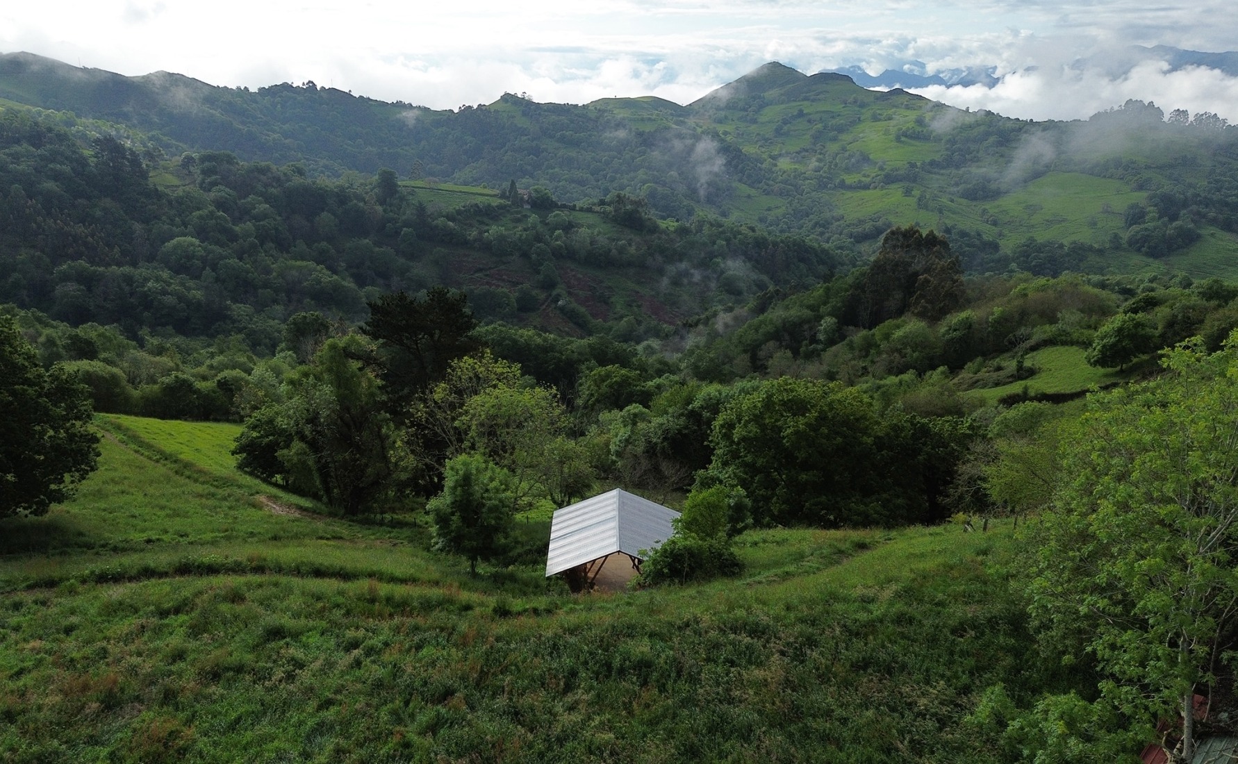 Taller Agropoético by Atelier Poem. Photograph courtesy of Atelier Poem.