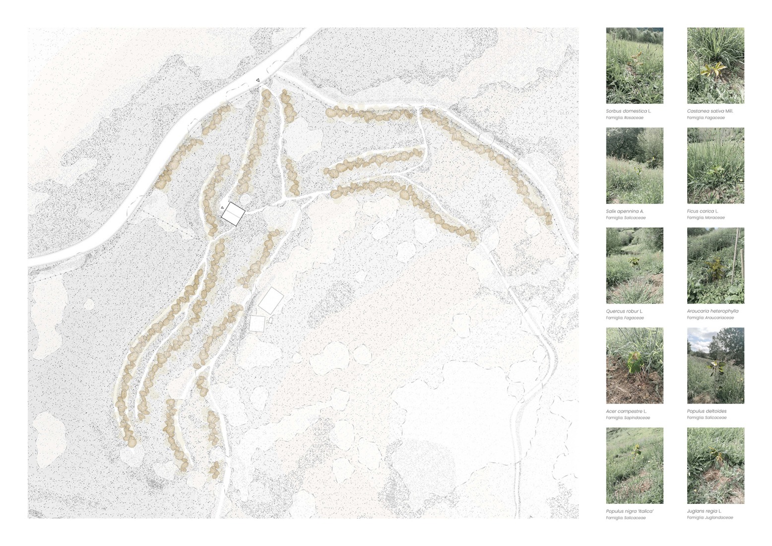 Site plan. Taller Agropoético by Atelier Poem.