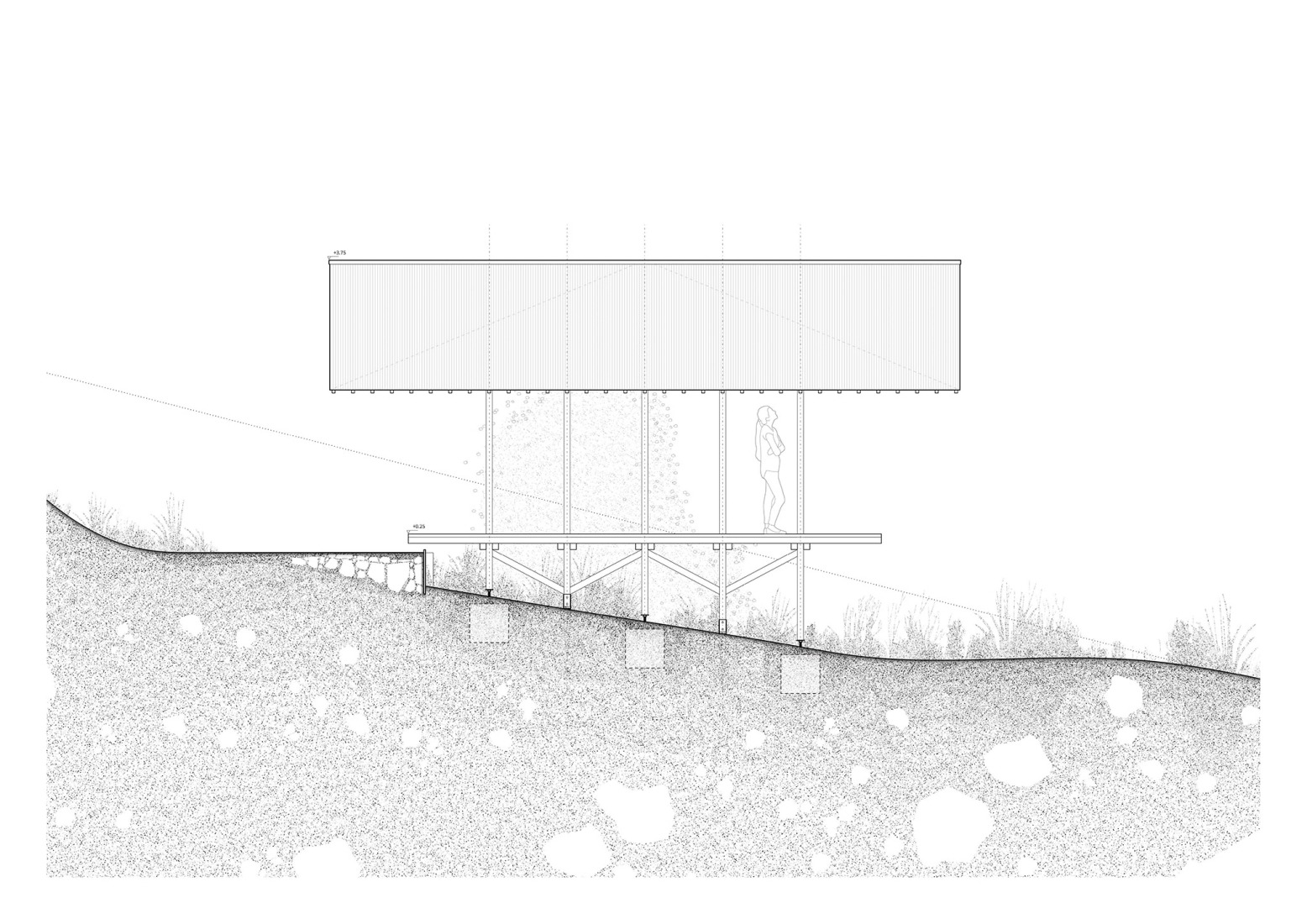 Longitudinal elevation. Taller Agropoético by Atelier Poem.