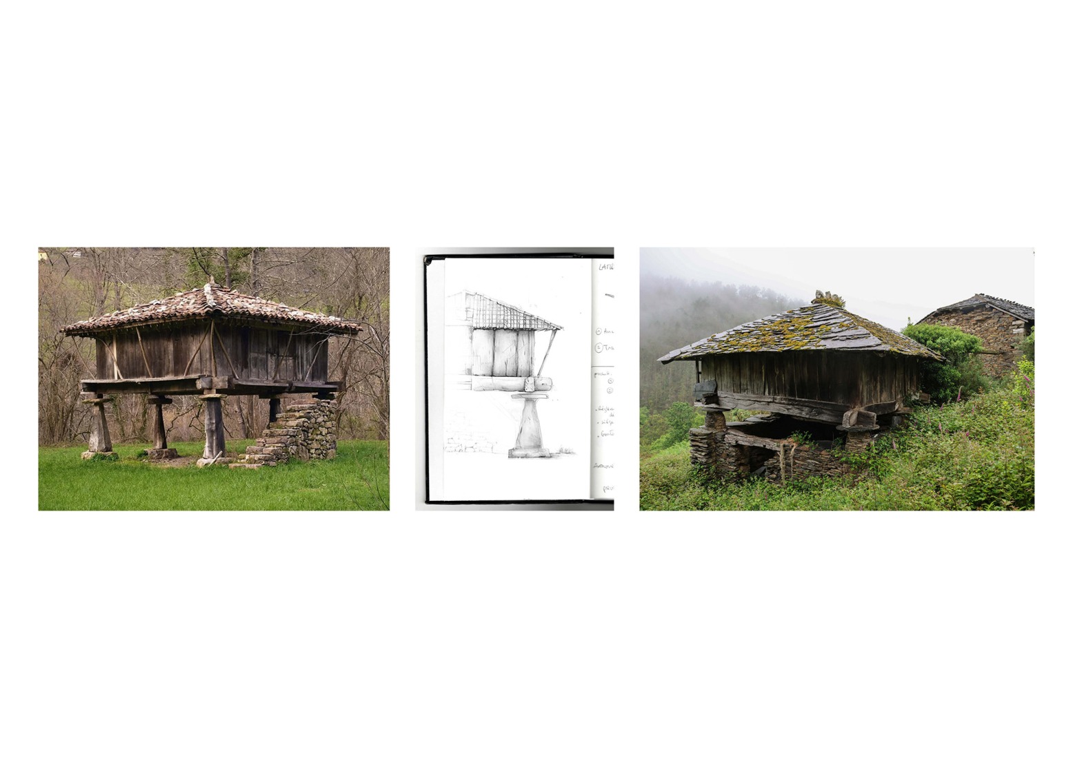 Conceptual reference. Taller Agropoético by Atelier Poem.