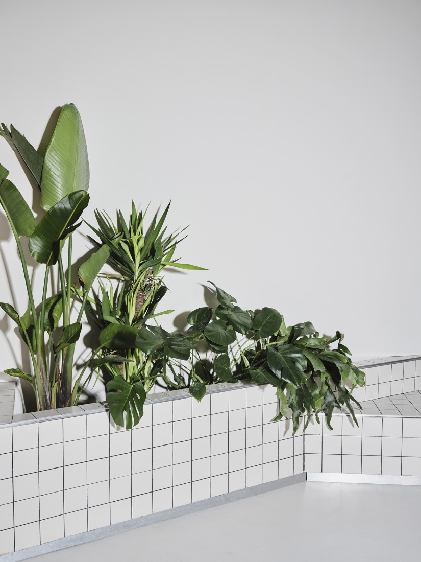 Sornells 21 por Paloma Bau + T.O.T Studio. Fotografía por David Zarzoso.