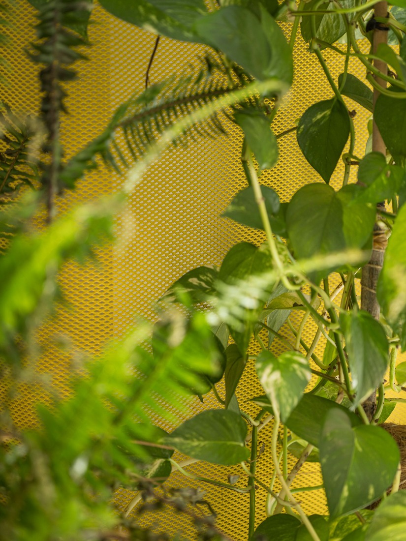 Corrigan studio by Corrigan Architects. Photograph by Imagen Subliminal. 