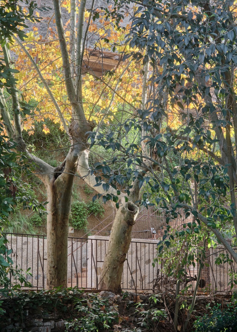 "Font del Rector" by Carles Enrich Studio. Photograph by Adrià Goula.