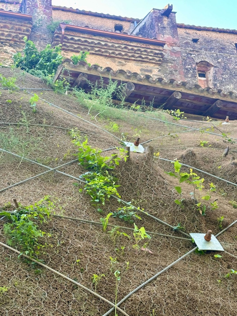 Process "Font del Rector" by Carles Enrich Studio. Photograph by Adrià Goula.