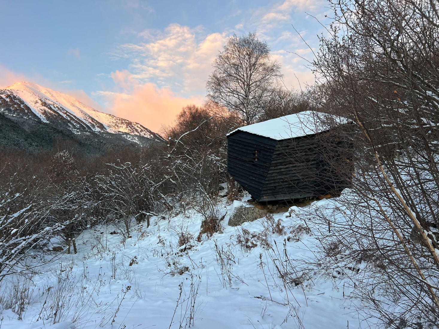 Cabaña «Forestone» por IAAC. Fotografía por Nina Poort.