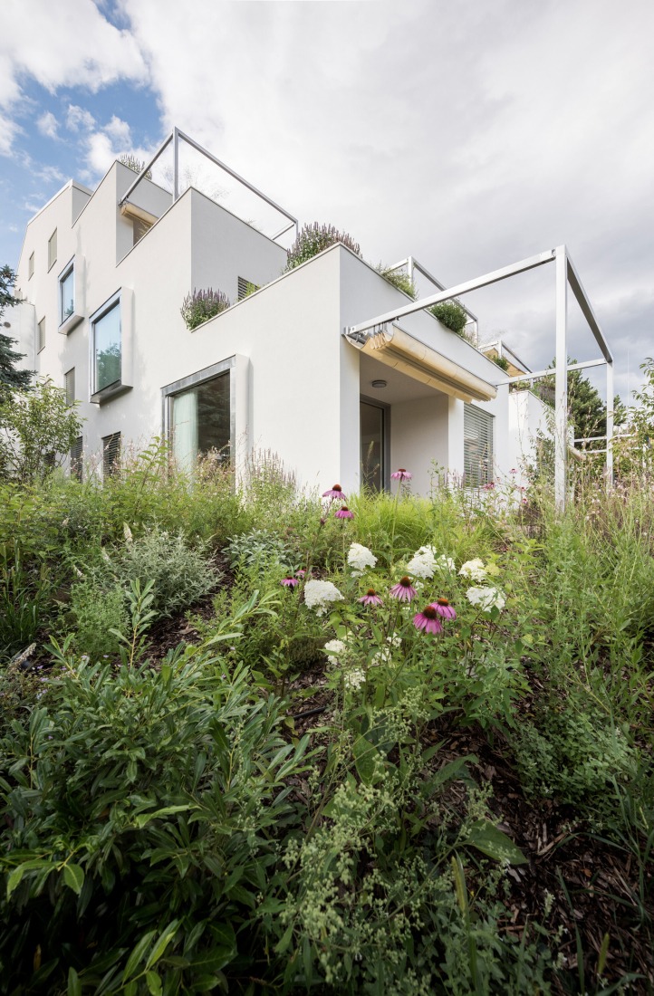 "Krč Terraced Twins" by Martin Cenek Architecture. Photograph by Martin Cenek.