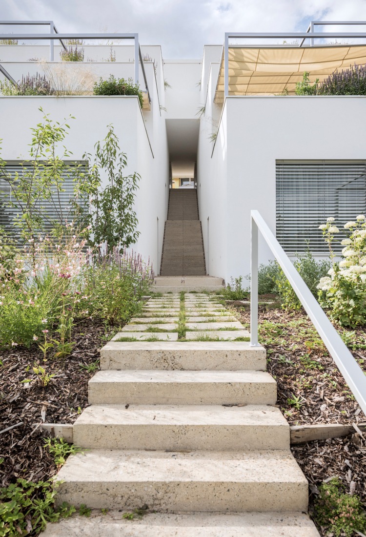 "Krč Terraced Twins" by Martin Cenek Architecture. Photograph by Martin Cenek.