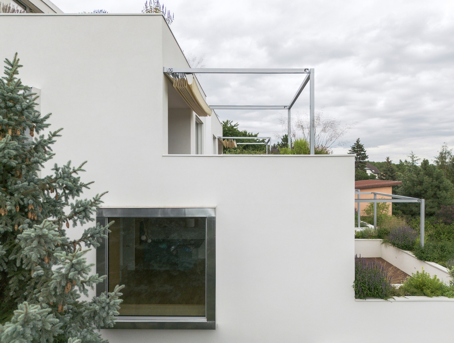 "Krč Terraced Twins" by Martin Cenek Architecture. Photograph by Martin Cenek.