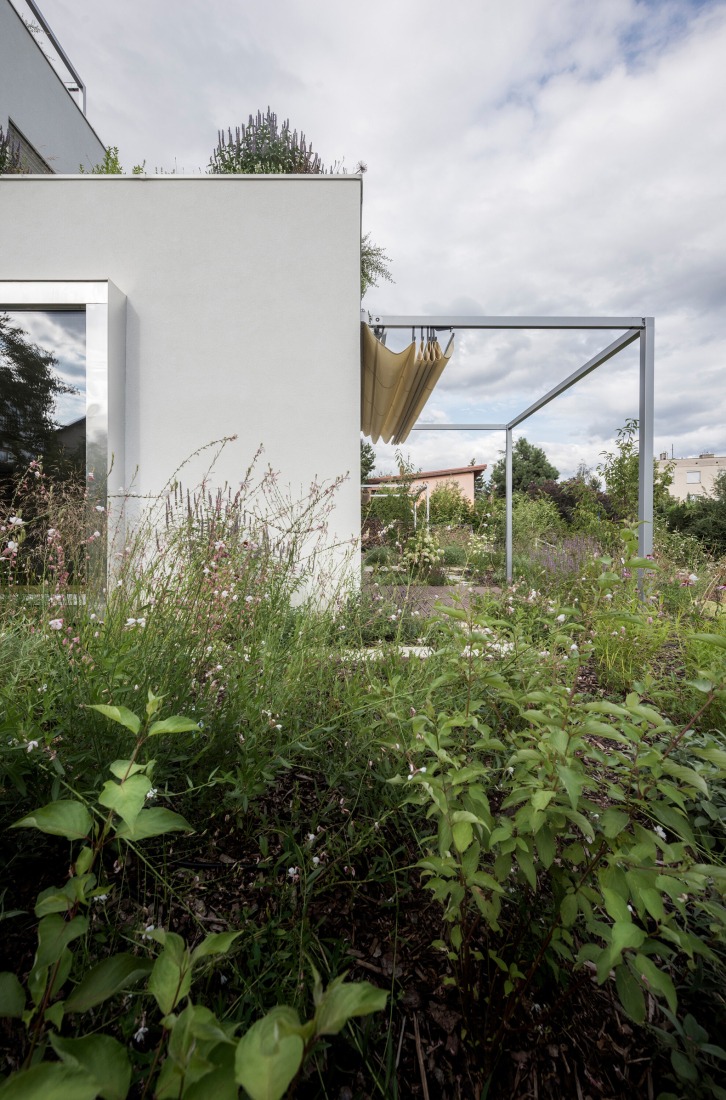 "Krč Terraced Twins" by Martin Cenek Architecture. Photograph by Martin Cenek.