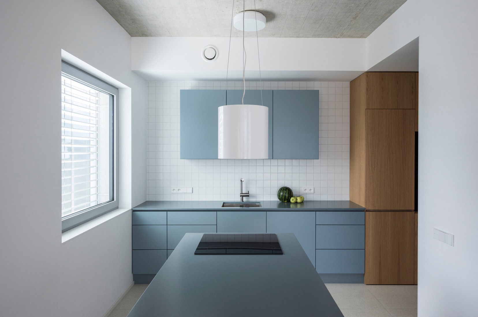 "Krč Terraced Twins" by Martin Cenek Architecture. Photograph by Martin Cenek.