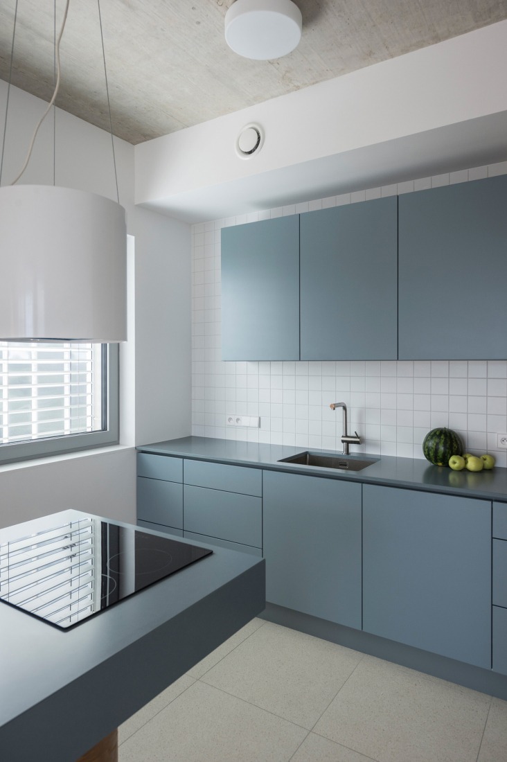 "Krč Terraced Twins" by Martin Cenek Architecture. Photograph by Martin Cenek.