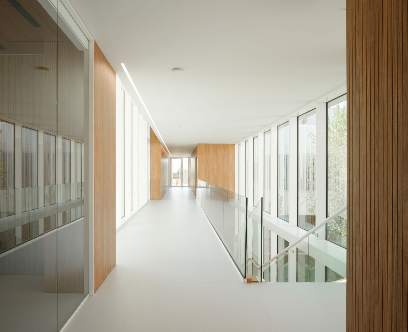 Cereal Innovation Center by IDOM. Photograph by Pedro Pegenaute.