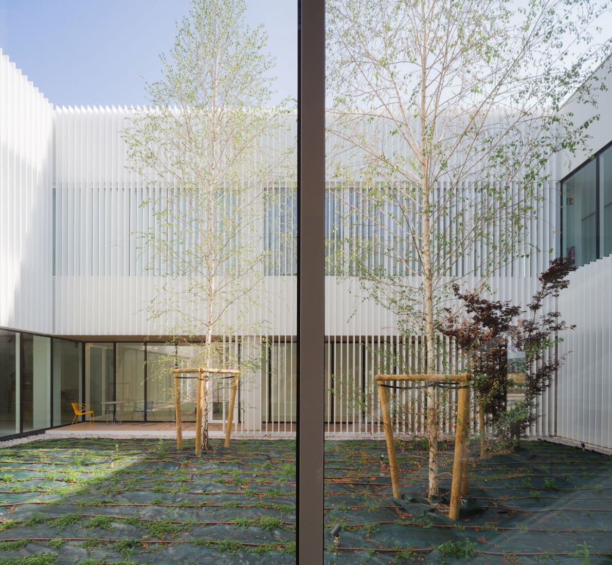 Cereal Innovation Center by IDOM. Photograph by Pedro Pegenaute.