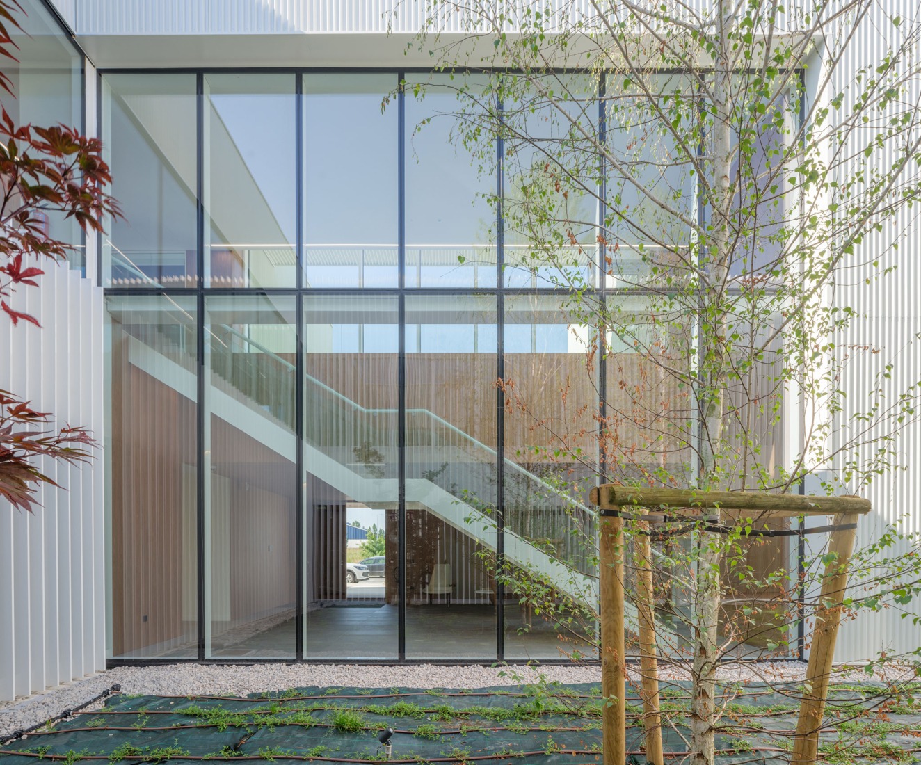 Cereal Innovation Center by IDOM. Photograph by Pedro Pegenaute.