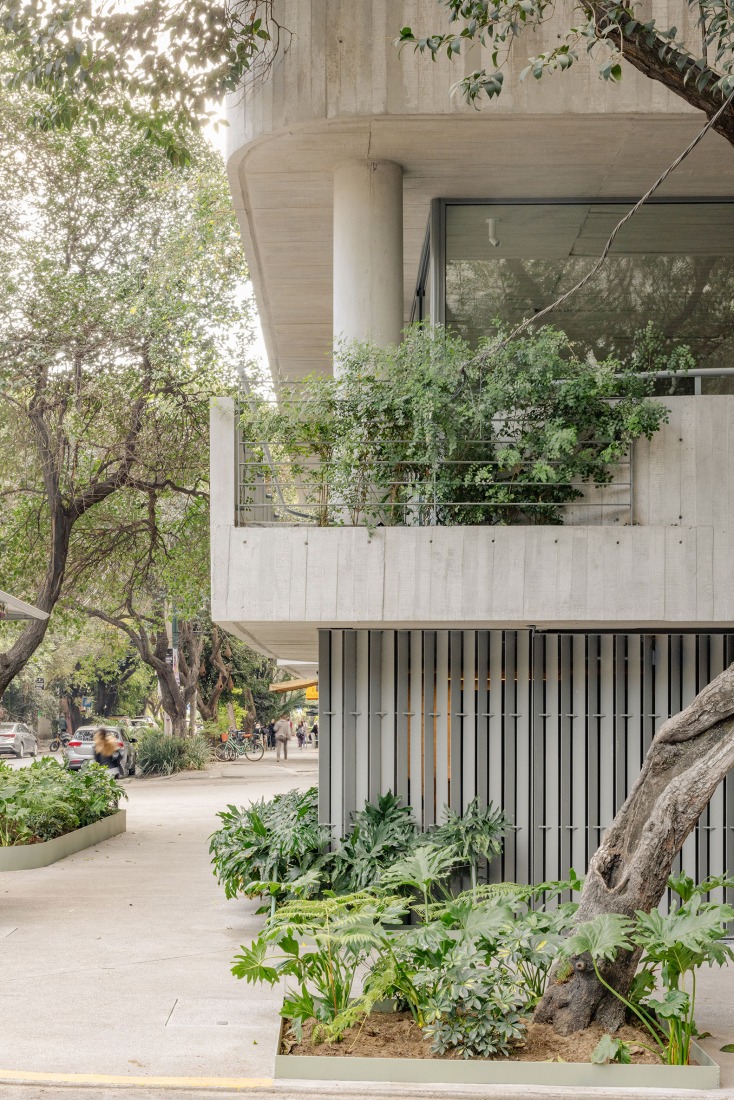 C294 Apartments by Michan Architecture. Photograph by Artuto Arrieta.