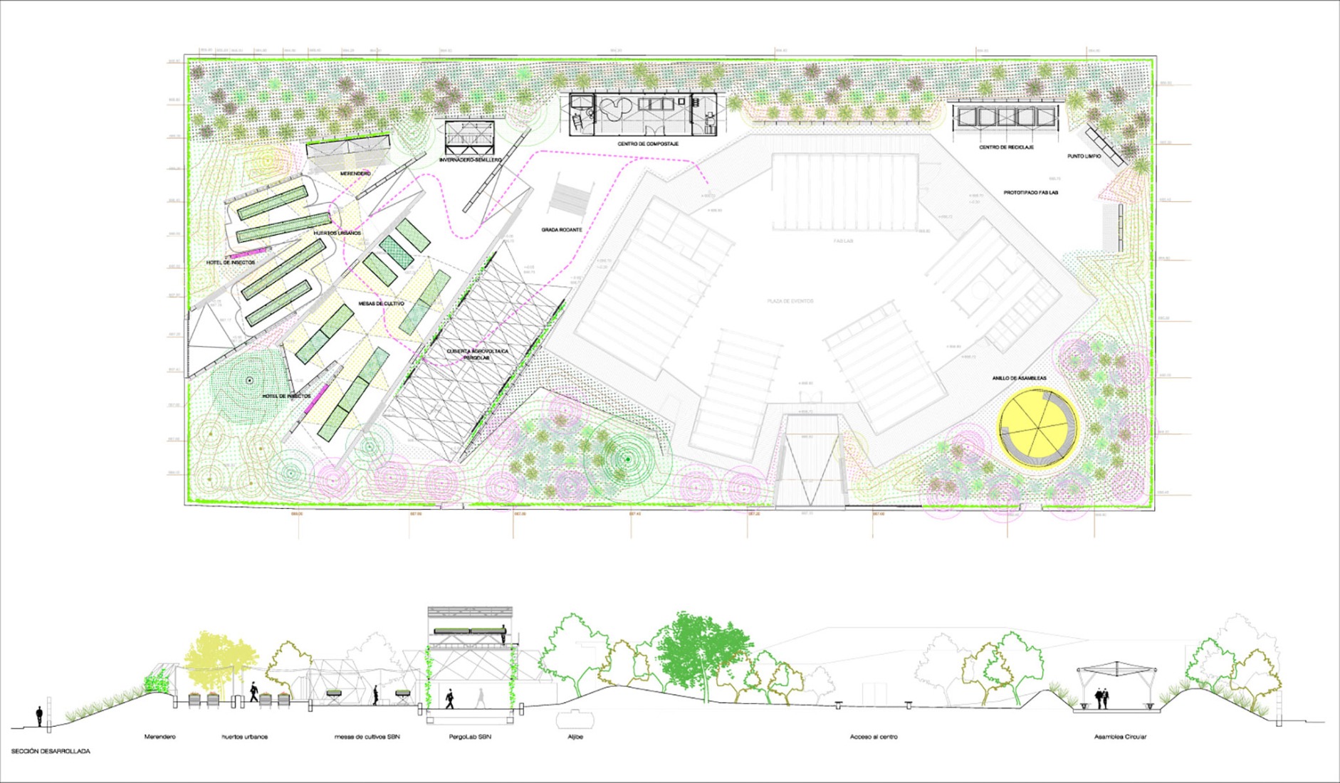 Ground floor plan and section. Circulating Garden for the CIEC by gaSSz arquitectos.