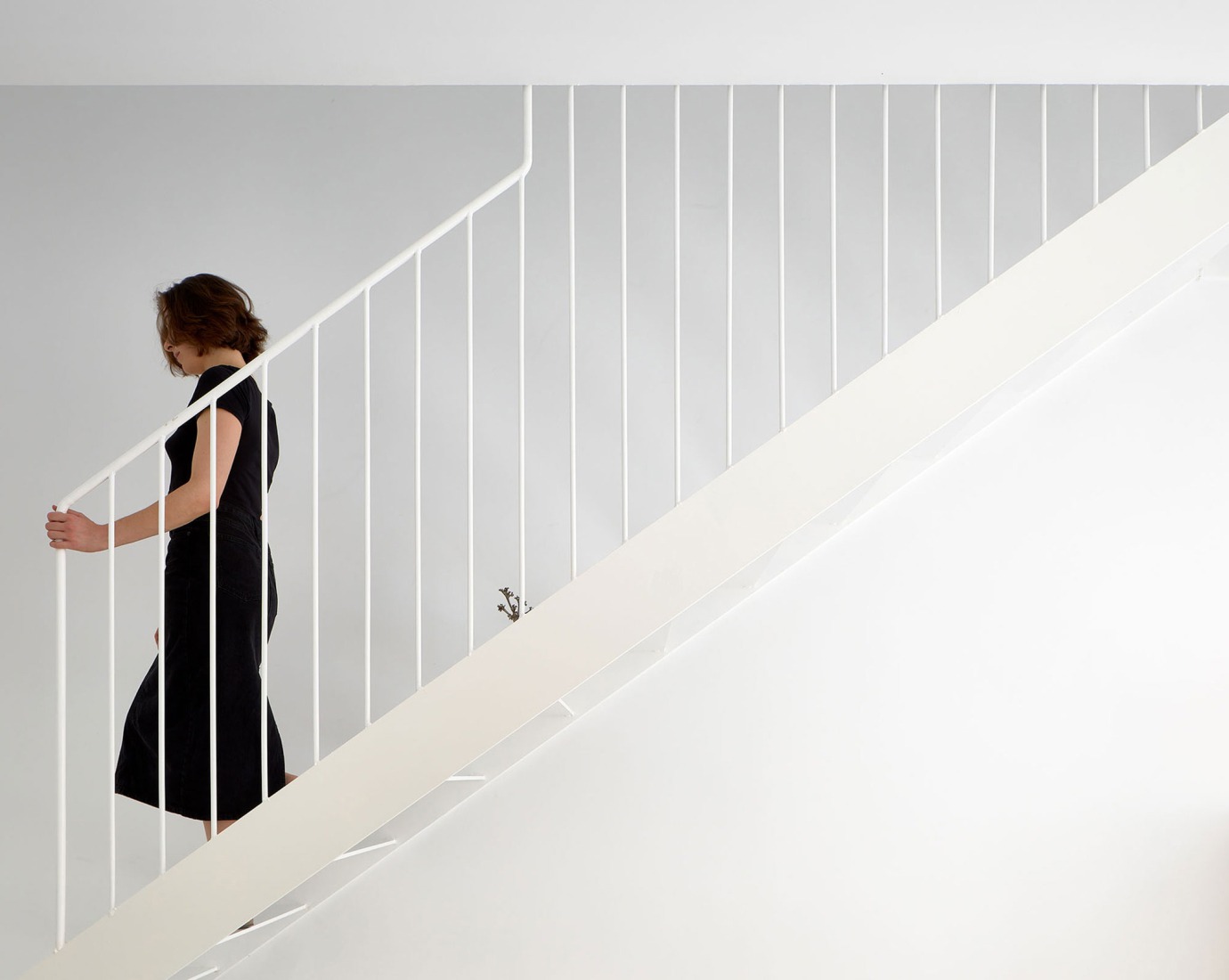 Mariola House by Palera Arquitectos. Photograph by Adam García.