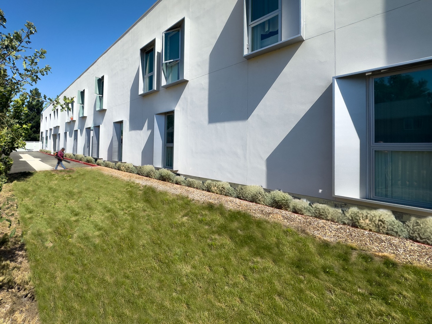 Northview Apartments by Brooks + Scarpa. Photograph by Tara Wujcik.