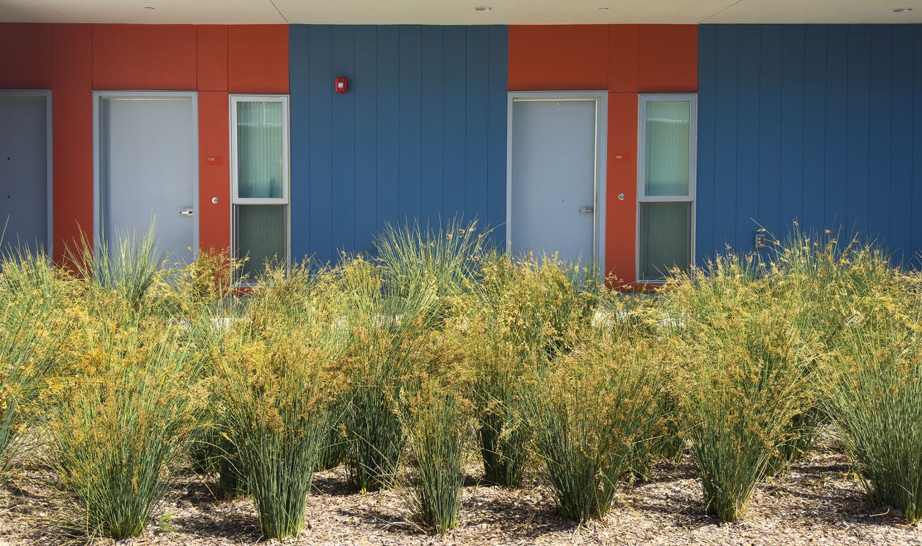 Northview Apartments by Brooks + Scarpa. Photograph by Tara Wujcik.