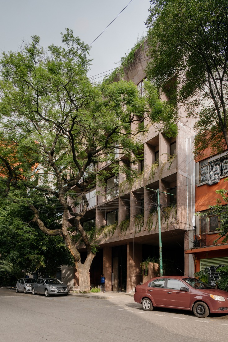 "Londres 187" by CCA. Photograph by Arturo Arrieta, courtesy of CCA | Bernardo Quinzaños.