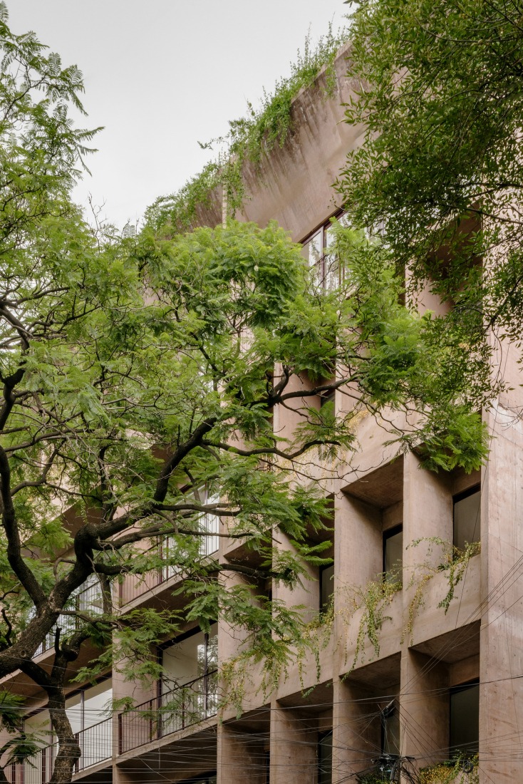 "Londres 187" by CCA. Photograph by Arturo Arrieta, courtesy of CCA | Bernardo Quinzaños.