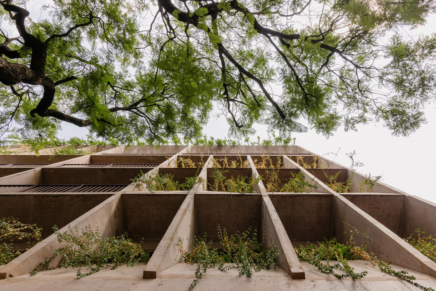 "Londres 187" by CCA. Photograph by Arturo Arrieta, courtesy of CCA | Bernardo Quinzaños.