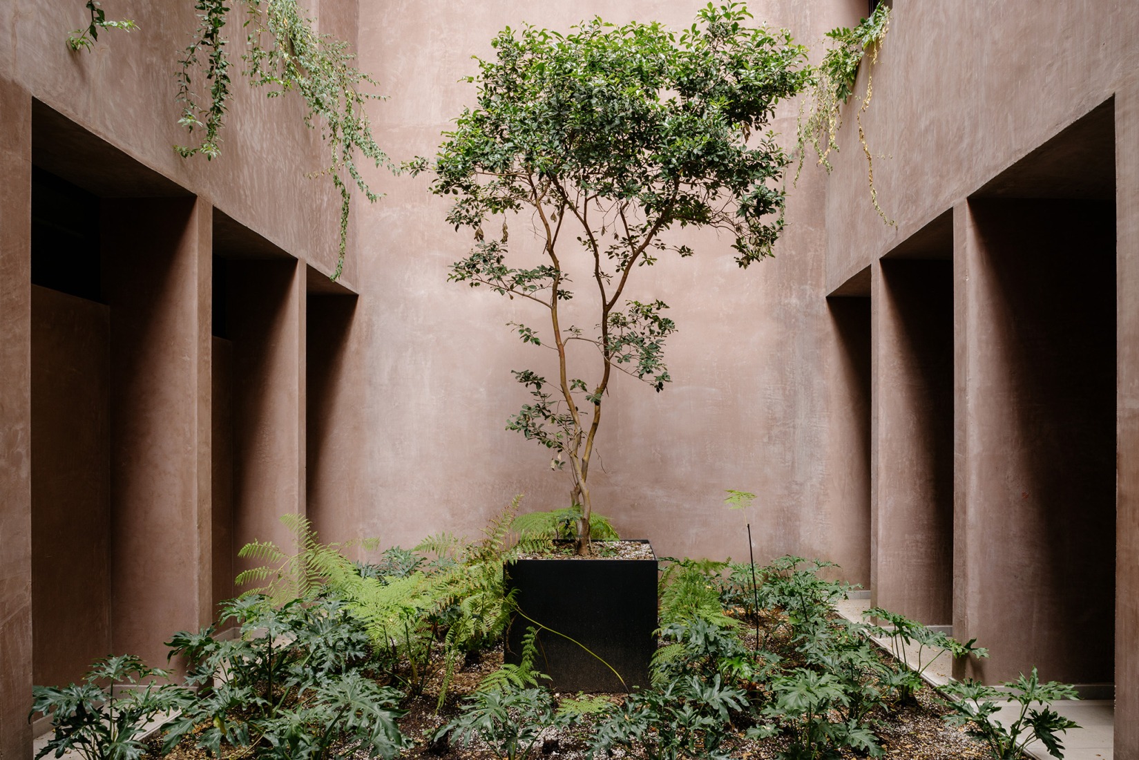 "Londres 187" by CCA. Photograph by Arturo Arrieta, courtesy of CCA | Bernardo Quinzaños.